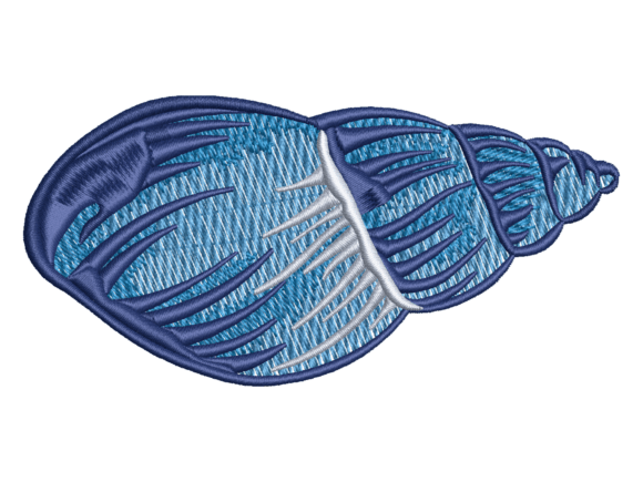 Blue Sea Snail Shell Design