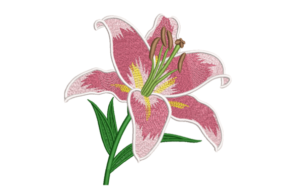 Pink Lily Bloom – Elegant Floral Review